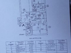 Obor, Colentina, Teiul Doamnei