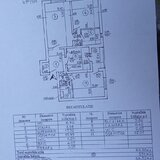 Obor, Colentina, Teiul Doamnei